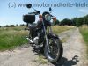 Yamaha_SR_125_SE_10F_weinrot_Gepaecktraeger_Topcase_2__Motor_-_wie_SR_XT_125_250_51.jpg