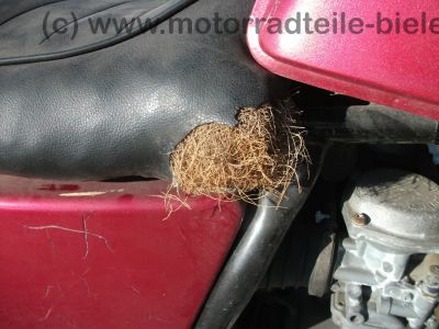 Yamaha_XS_360_lila-rot_1U4_Twin_-_wie_XS_250_1U5_400_SE_2A2_4G5_71.jpg
