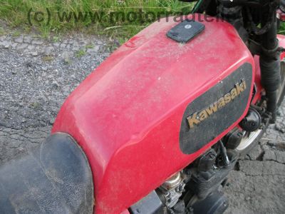 Kawasaki_Z_550_GT_Kardan_Koffer_Gepaecktraeger_Koffertraeger_-_wie_GPZ_Z_KZ_305_400_500_550_750_GT_E_UT_LTD_64_.jpg