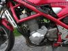 Suzuki_GSF_400_BANDIT_GK75B_rot_25kW_-_wie_GSF_GSX_600_750_F__12.jpg