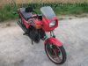 Kawasaki_GPZ_305_BD_rot_Tankbeulen_Belt_Drive_Twin_-_wie_KZ_Z_GPZ_CSR_250_305_400_440_A_B_C_D_LTD_53.jpg