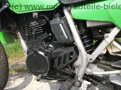 Kawasaki_KLR_250_gruen_Typ_KL_250_D_-_wie_KL_KLR_KLX_KMX_125_200_250_600_650_A_B_C_D_E_11.jpg