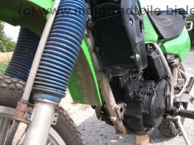 Kawasaki_KLR_250_gruen_Typ_KL_250_D_-_wie_KL_KLR_KLX_KMX_125_200_250_600_650_A_B_C_D_E_19.jpg