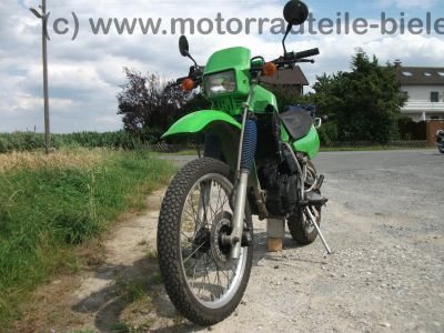 Kawasaki_KLR_250_gruen_Typ_KL_250_D_-_wie_KL_KLR_KLX_KMX_125_200_250_600_650_A_B_C_D_E_3.jpg