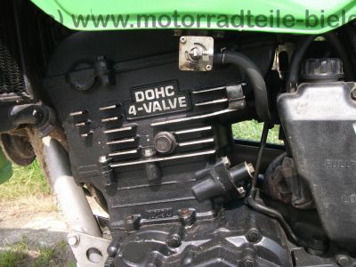 Kawasaki_KLR_250_gruen_Typ_KL_250_D_-_wie_KL_KLR_KLX_KMX_125_200_250_600_650_A_B_C_D_E_31.jpg