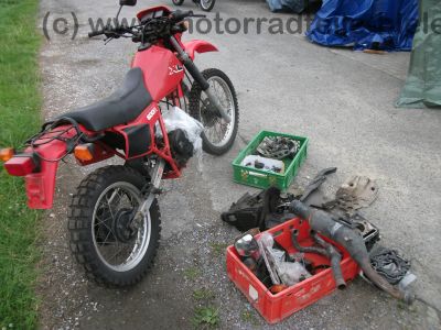 Honda_XL_600_R_PD03_rot_unfallfrei_Kopfrisse_-_wie_XL_XR_250_350_400_500_600_650_R_RM_LM_MD11_ND03_PD04_12.jpg