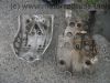 Honda_XL_600_R_PD03_rot_unfallfrei_Kopfrisse_-_wie_XL_XR_250_350_400_500_600_650_R_RM_LM_MD11_ND03_PD04_28.jpg