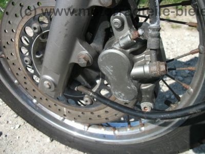 Yamaha_SR_125_10F_blau_103_kmh_Chopper_neues_Modell_2002_24.jpg