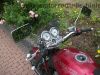 Suzuki_VX_800_weinrot_VS51B_45kW_V2_2__Hd__-_wie_VS_600_700_750_800_Intruder_61.jpg