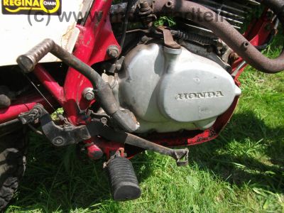 Honda_XL_185_S_rot-weiss_Original_-_wie_XL_CL_TL_SL_L_125_185_200_250_S_70.jpg