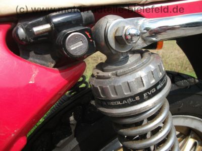Honda_CB_900_F2_Boldor_SC01_Harro_Nico_Bakker_Auspuff_4in1_Motot_Italia_Rasten_Giuliari_Sitz_123.jpg