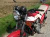 Honda_CB_900_F2_Boldor_SC01_Harro_Nico_Bakker_Auspuff_4in1_Motot_Italia_Rasten_Giuliari_Sitz_88.jpg