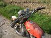 Honda_XL_125_K_EZ_76_orange-weiss_original_-_wie_CB_CL_TL_SL_100_125_185_200_250_S_K_115.jpg