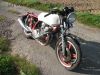 Honda_CB_900_F_Boldor_SC01_weiss_Crash_Motor_OK_-_wie_CB_650_750_1100_RC_01_03_04_05_06_08_09_8.jpg