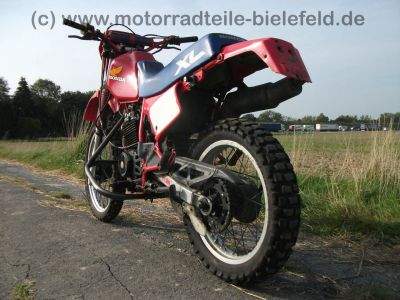 Honda_XL_250_R_MD11_rot_Stunt_-_wie_MD03_XL_350_R_ND03_XL_600_R_PD03_2.jpg