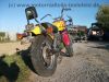 Suzuki_LS_650_Savage_gelb_geflammt_Motor_demontiert_Sissybar_-_Basis_Bobber_56.jpg