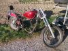 Suzuki_LS_650_Savage_rot_teilzerlegt_Sissybar_-_Basis_Bobber_7.jpg