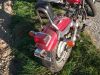 Suzuki_LS_650_Savage_rot_teilzerlegt_Sissybar_-_Basis_Bobber_9.jpg