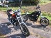 Honda_VT_500_C_Custom_Shadow_PC08_rot_Chopper_vorverlegte_Fischer_Fussrasten-Anlage_orig__Auspuff_HM_MF5_E_Sankei_2160_1a_gepflegt_5.jpg