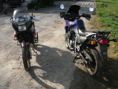 Honda_XL_600_V_Transalp_PD06_Sturzbuegel_Gepaecktraeger_hohe_Scheibe_-_wie_PD10_99.jpg