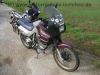 Honda_XL_600_V_Transalp_PD06_Sturzbuegel_Gepaecktraeger_hohe_Scheibe_-_wie_PD10_13.jpg