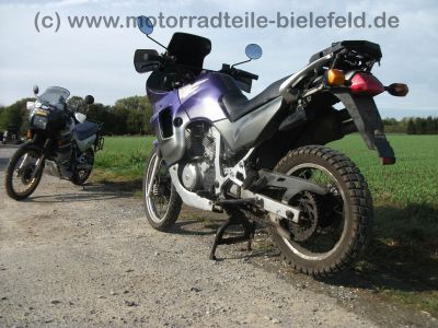 Honda_XL_600_V_Transalp_PD10_EZ_1998_3x_Stahlflex_Bremsleitung_hohe_Scheibe_-_wie_PD06_68.jpg