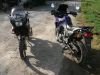 Honda_XL_600_V_Transalp_PD10_EZ_1998_3x_Stahlflex_Bremsleitung_hohe_Scheibe_-_wie_PD06_100.jpg