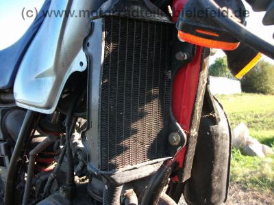 Honda_MTX_80_R_II_R2_HD09_Enduro_rot-blau_EZ_87_-_wie_MTX_MT_MB_MBX_50_80_125_C_R_I_II_1_2_LC_87.jpg