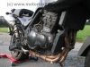 Triumph_Tiger_885i_T709_Crash_-_wie_T300_T400_855_900_955i_Daytona_Trident_Trophy_Speed_Triple_79.jpg