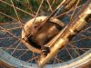 Suzuki_TS_80_X_Enduro_Cross_gelb_SC11A_SC11_-_wie_RM_RG_TS_50_80_125_X_K_23.jpg