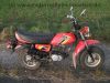 Honda_CY_50_orange-rot_original_Schluessel_Papiere_-_wie_CY_CB_XL_TL_SL_CL_Z_ST_50_80_90_100_125_DAX_Monkey_13.jpg
