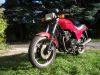 Kawasaki_GPZ_305_Kette_Typ_EX_305_A_rot_Auspuff_KHI_K_070_-_wie_GPz_Z_KZ_CSR_250_305_A_B_C_LTD_BD_Belt_Drive_3.jpg