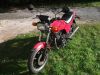 Kawasaki_GPZ_305_Kette_Typ_EX_305_A_rot_Auspuff_KHI_K_070_-_wie_GPz_Z_KZ_CSR_250_305_A_B_C_LTD_BD_Belt_Drive_4.jpg