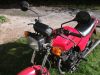 Kawasaki_GPZ_305_Kette_Typ_EX_305_A_rot_Auspuff_KHI_K_070_-_wie_GPz_Z_KZ_CSR_250_305_A_B_C_LTD_BD_Belt_Drive_8.jpg