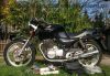 Honda_XBR_500_PC15_schwarz_original_Sozius-Abdeckung_Gepaecktraeger_-_wie_XBR_500_S_GB_500_Clubman_PC16_RFVC_Einzylinder_1.jpg
