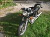 Honda_XBR_500_PC15_schwarz_original_Sozius-Abdeckung_Gepaecktraeger_-_wie_XBR_500_S_GB_500_Clubman_PC16_RFVC_Einzylinder_25.jpg