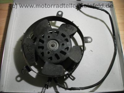 DSCF4088.jpg
