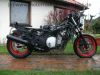 Honda_CBR_1000_F_SC21_nackt_original_Auspuff_Motor_-_wie_CBR_600_PC19_PC23_SC24_1.jpg