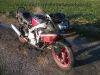 Honda_CBR_600_F_rot-schwarz_25kW_PC23_Sturz_-_wie_PC19_CBR_1000_F_SC21_SC24_46.jpg
