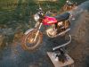 Suzuki_GT_185_original_rot_2-Takt_-_wie_GP_GT_125_200_X5_250_X7_10.jpg