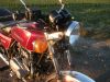 Kawasaki_KZ_440_C_Twin_rot-braun_-_wie_KZ_Z_250_400_440_A_B_H_LTD__50.jpg