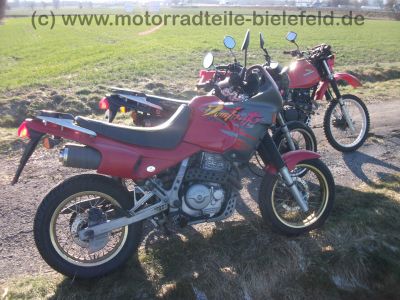 Honda_NX_650_Dominator_RD08_rot_1_Hd__Super-Moto_SuMo_17x2_50_u__17x2_75_-_wie_XL_XR_NX_SLR_FMX_500_600_650_RD_02_06_09_11.jpg