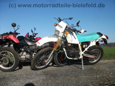 Honda_NX_650_Dominator_RD08_rot_1_Hd__Super-Moto_SuMo_17x2_50_u__17x2_75_-_wie_XL_XR_NX_SLR_FMX_500_600_650_RD_02_06_09_2.jpg