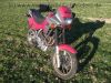 Honda_NX_650_Dominator_RD08_rot_1_Hd__Super-Moto_SuMo_17x2_50_u__17x2_75_-_wie_XL_XR_NX_SLR_FMX_500_600_650_RD_02_06_09_66.jpg