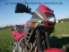 Honda_NX_650_Dominator_RD08_rot_1_Hd__Super-Moto_SuMo_17x2_50_u__17x2_75_-_wie_XL_XR_NX_SLR_FMX_500_600_650_RD_02_06_09_68.jpg