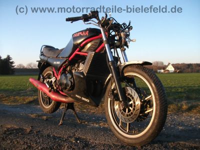 Yamaha_RD_350_YPVS_31K_-_wie_RD_RZ_TZR_TZ_250_350_LC_4L0_4L1_1WW_1WX_45.jpg