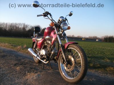 REX_Chopper_125_lila-rot_love_kills_-_wie_REX_Cruiser_Kreidler_Mustang_Kymco_ZING_SMC_SYM_Husky_125_47.jpg