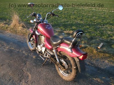 REX_Chopper_125_lila-rot_love_kills_-_wie_REX_Cruiser_Kreidler_Mustang_Kymco_ZING_SMC_SYM_Husky_125_6.jpg