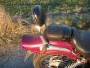 REX_Chopper_125_lila-rot_love_kills_-_wie_REX_Cruiser_Kreidler_Mustang_Kymco_ZING_SMC_SYM_Husky_125_57.jpg