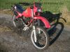 Honda_XL_600_R_PD03_Enduro_original_rot_33kW_-_wie_XL_XR_200_250_350_400_500_600_650_R_RM_LM_MD11_ND03_PE04_PD04_50.jpg